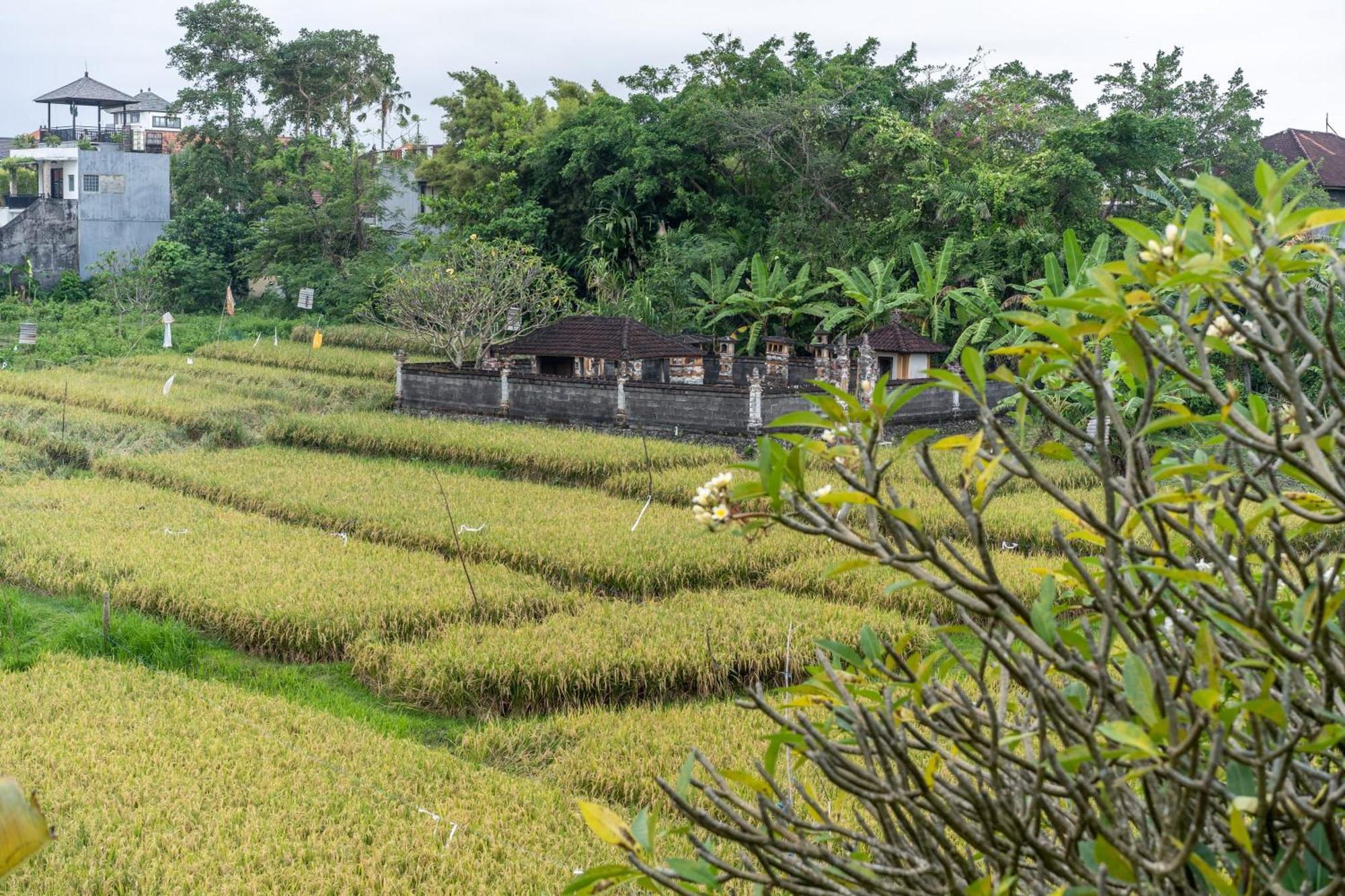 Villa Sunsara 4 - Enchanting 4Br Villa In A Great Location Canggu  Exterior photo